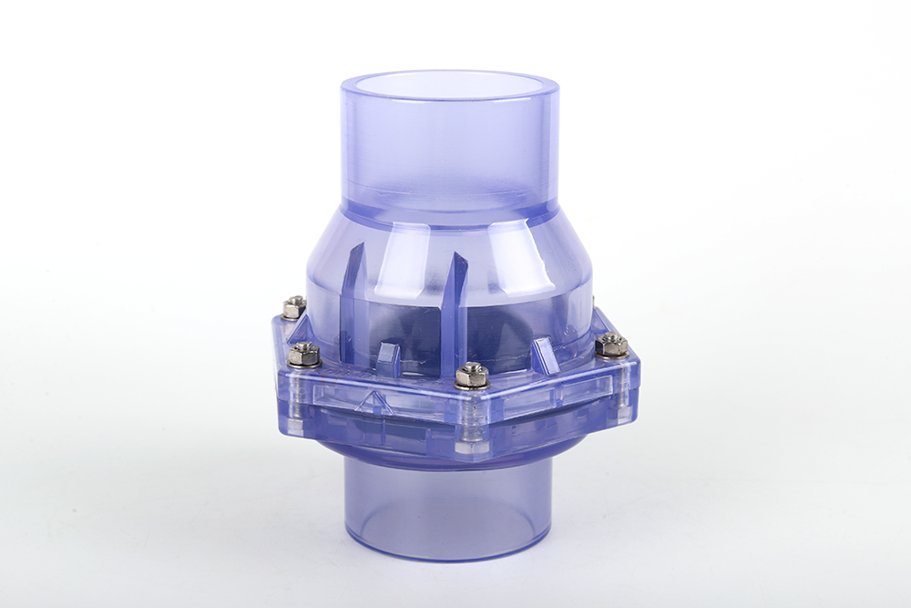 谷城透明翻板式止回阀